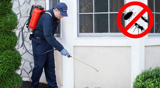 Lice Kene İlaçlama böcek ilaçlama ve haşere kontrolü — ilaclama-tr.com